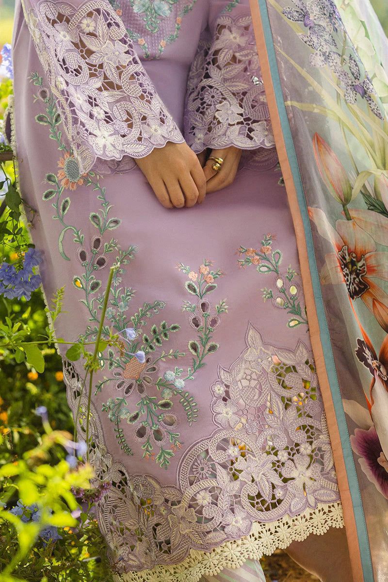 MUSHQ - Lawn