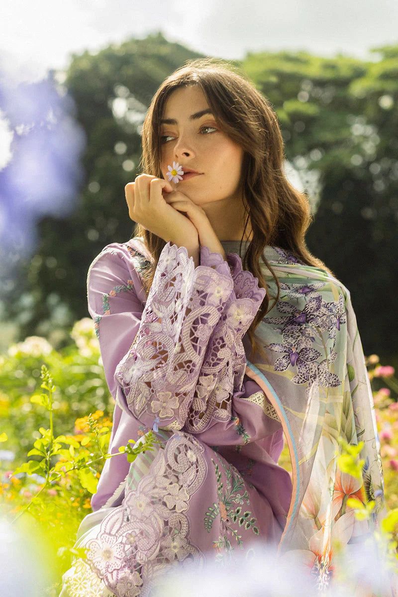 MUSHQ - Lawn