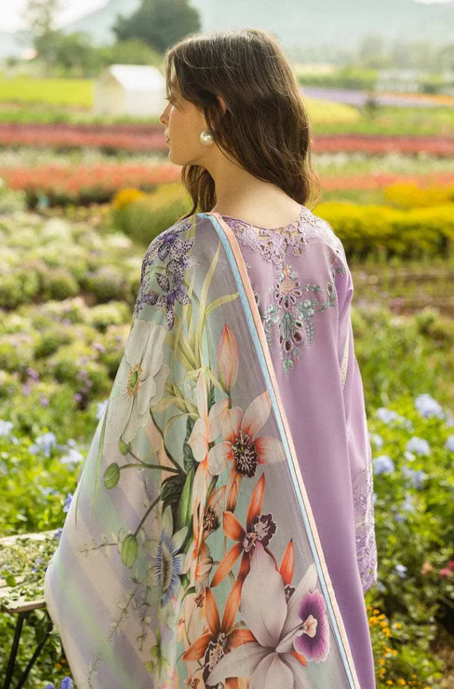 MUSHQ - Lawn