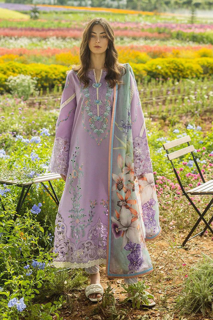 MUSHQ - Lawn