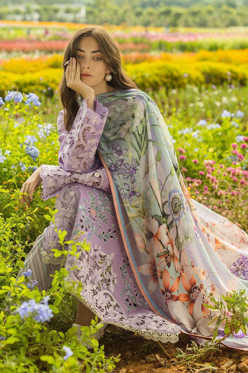 MUSHQ - Lawn